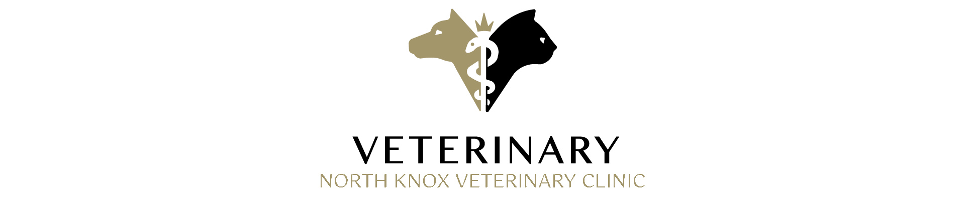 nknoxvet.com